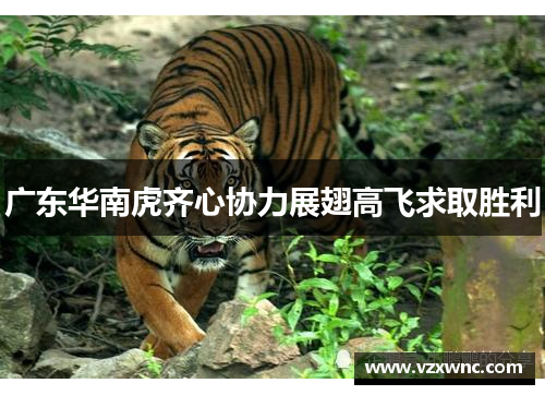 广东华南虎齐心协力展翅高飞求取胜利